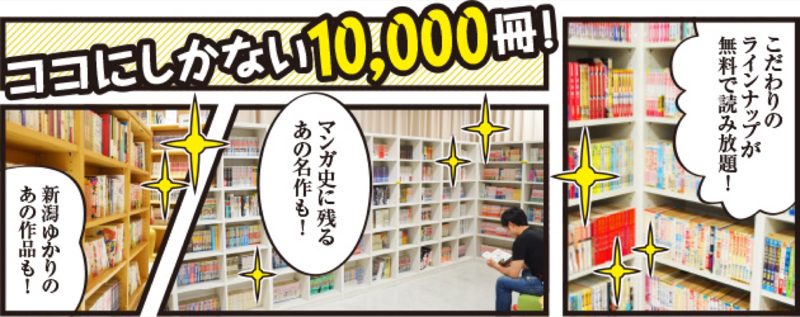 新潟市マンガの家の掲載情報ページ画像