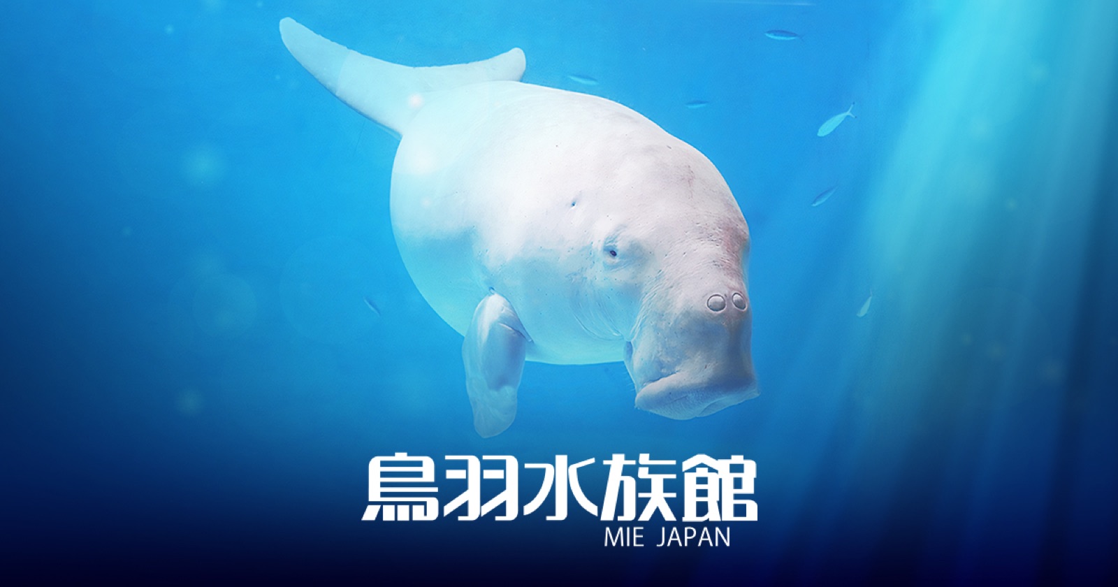 鳥羽水族館の掲載情報ページ画像