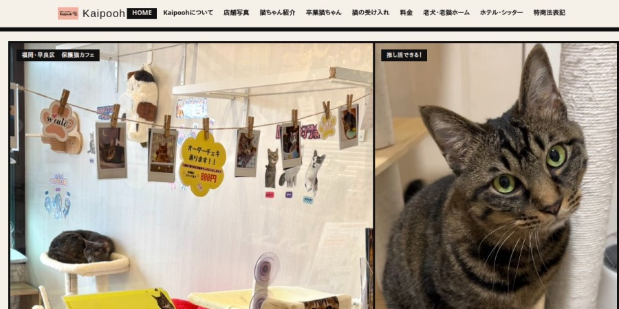 保護猫カフェ Kaipoohの掲載情報ページ画像