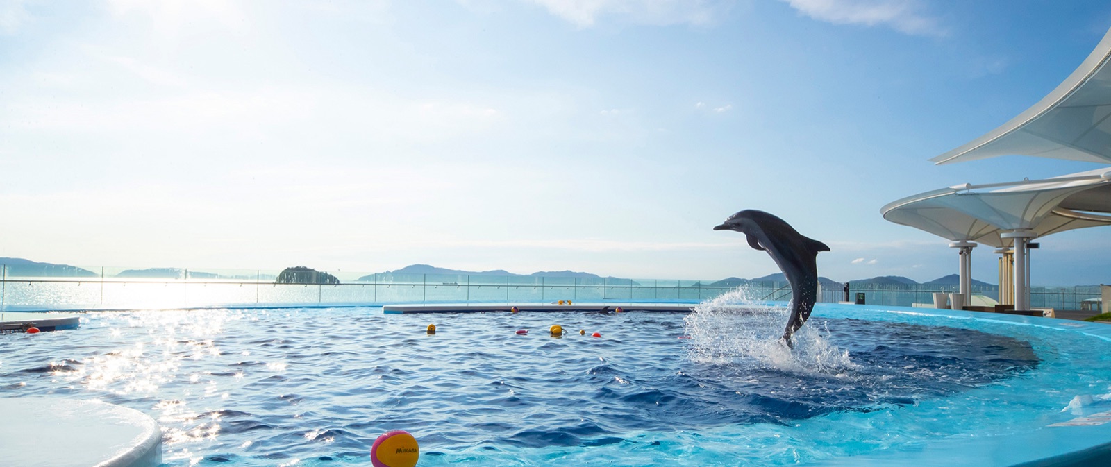四国水族館の掲載情報ページ画像